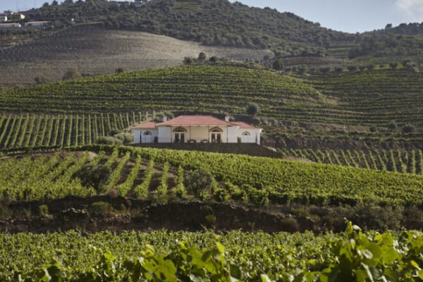 Conheça a Quinta do Bonfim e prove o vinho